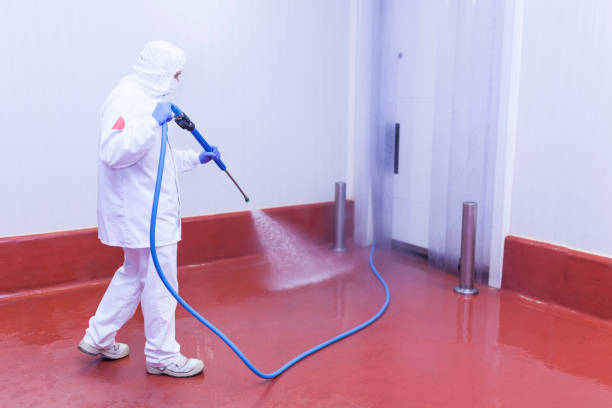 Best Building Exterior Washing  in Herald, CA