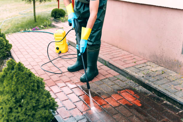Animal Enclosure Cleaning in Herald, CA